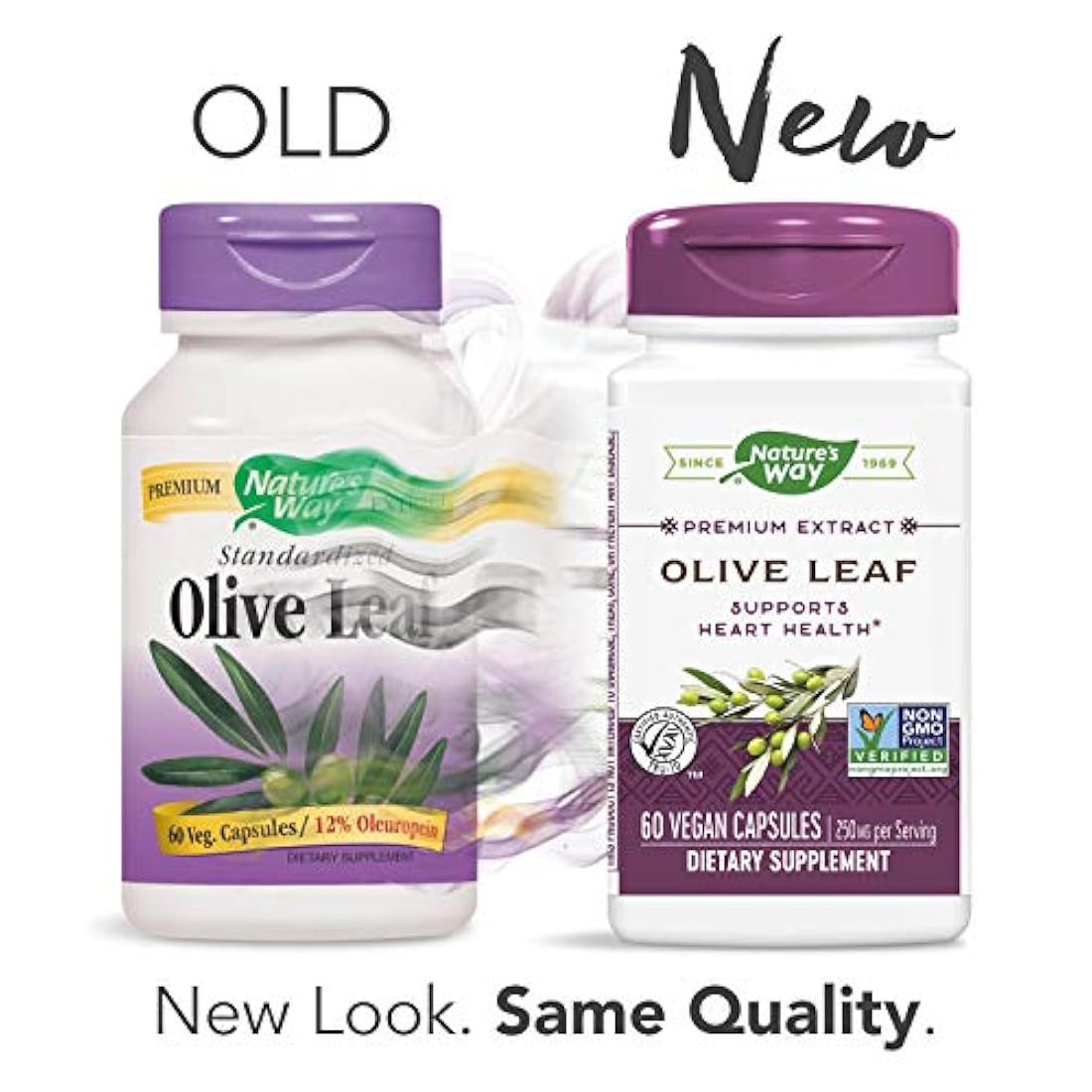 La forma de hoja de olivo, 60 Cápsulas de la naturaleza