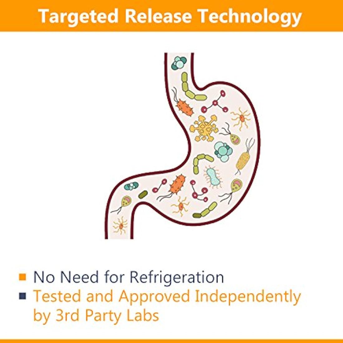 Probióticos 50 mil millones de CFU 20 cepas, 60 cápsulas
