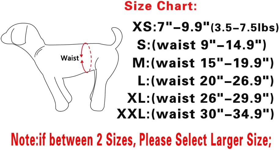 JoyDaog Paquete de 3 pañales para perros pequeños de primera calidad