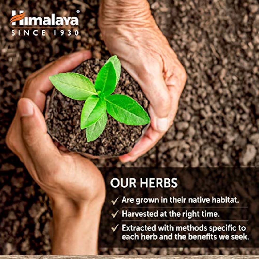 Himalaya - Suplemento de hierbas