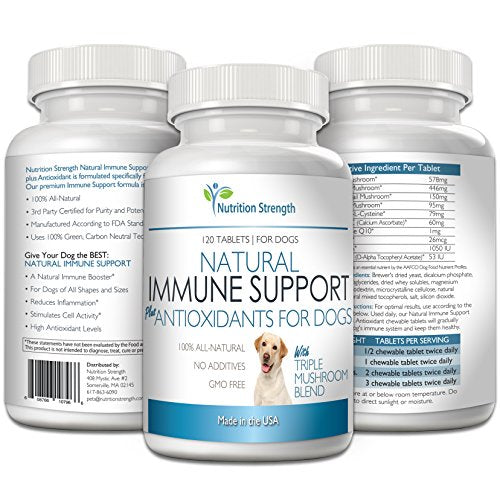 Support para perros más antioxidante 120 tabletas masticable