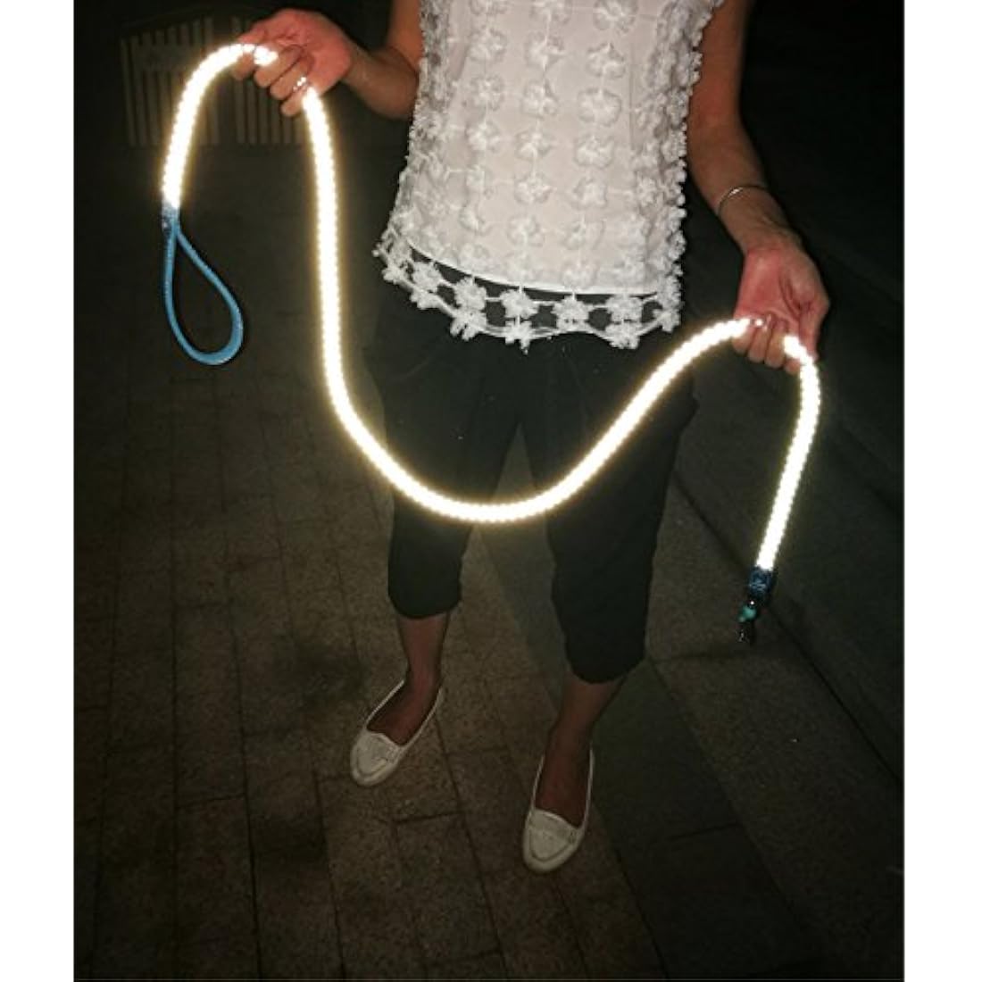 Correa para perro rosa de 6 pies para escalar montañas