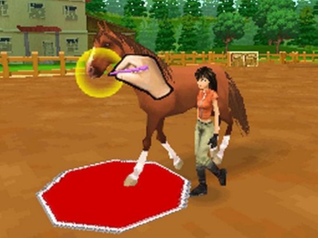 Ener-G Horse Riders - Nintendo DS