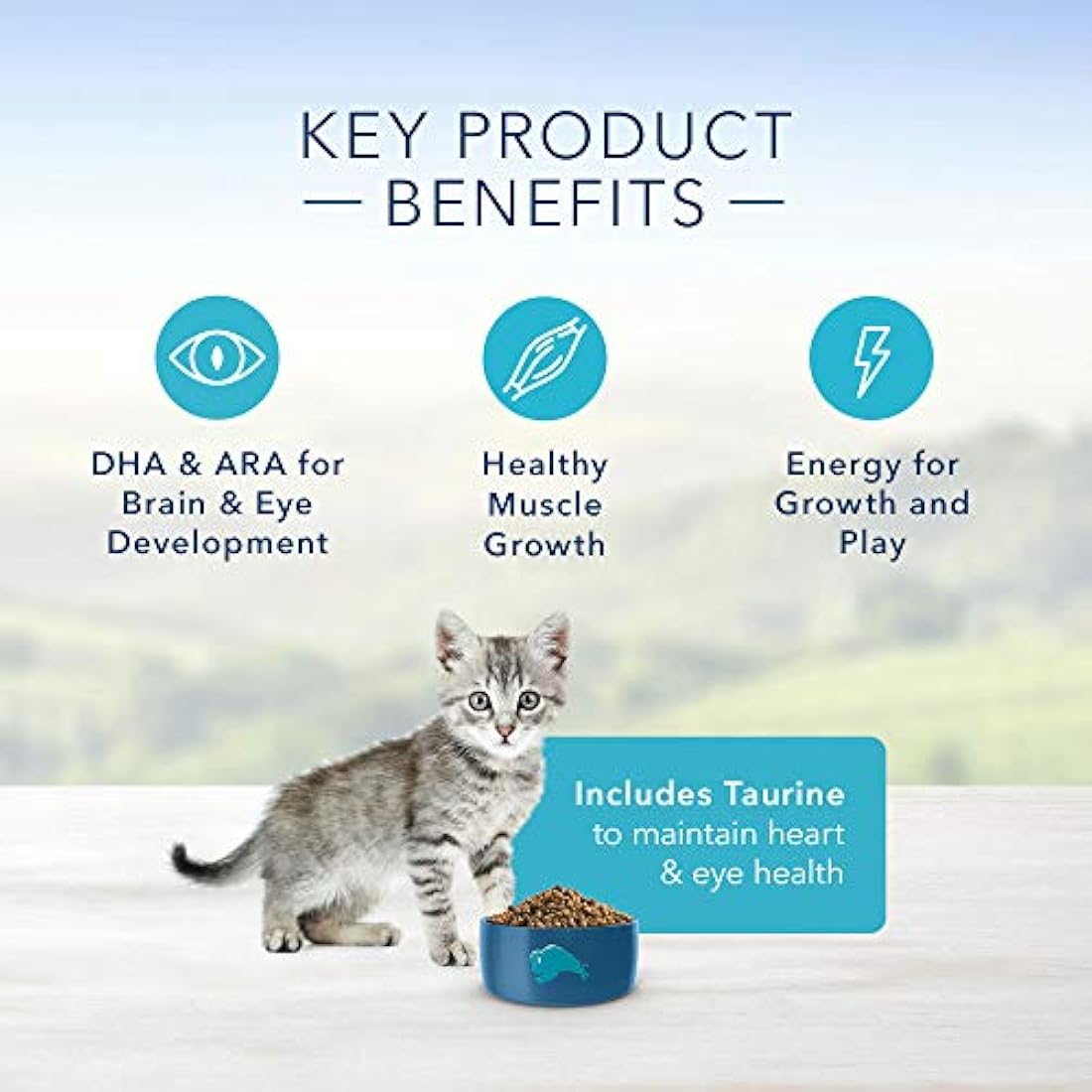 Alimento seco para gatos