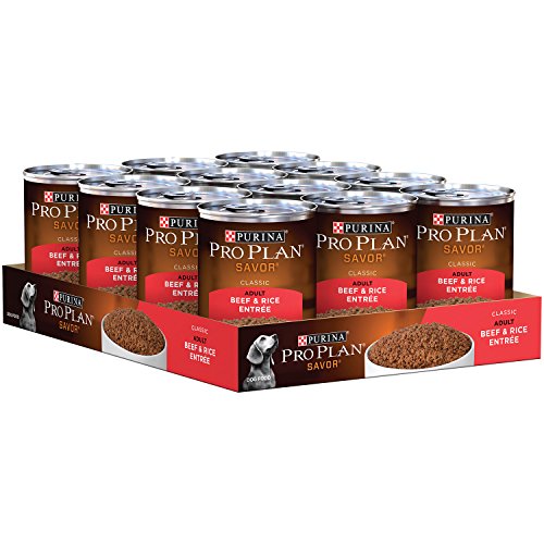 Alimento para perros, sabor carne