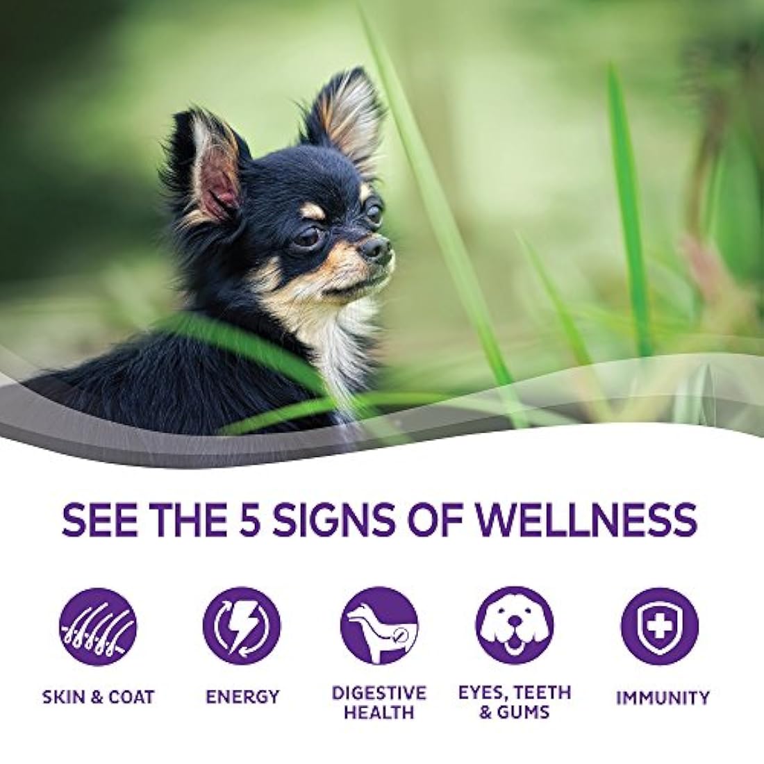 Bienestar Salud completa Alimento seco natural perro de raza