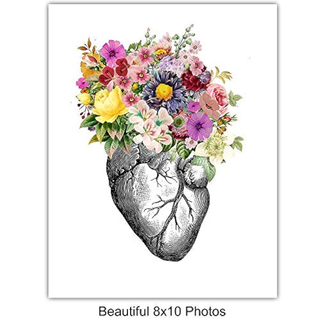 fotos sin marco -Corazón pulmones cerebro intestinos