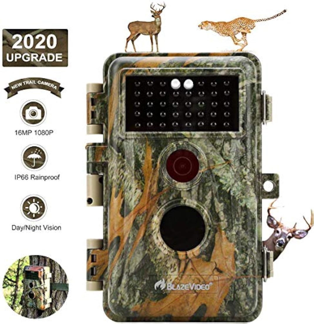 BlazeVideo 16 MP HD sin brillo infrarrojo Flash Scouting