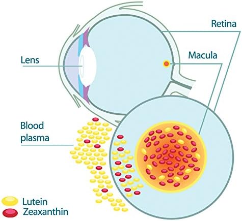Suplemento para la salud ocular EyePromise