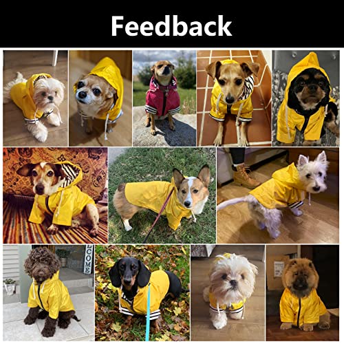 Chubasquero impermeable para perros con capucha para perros
