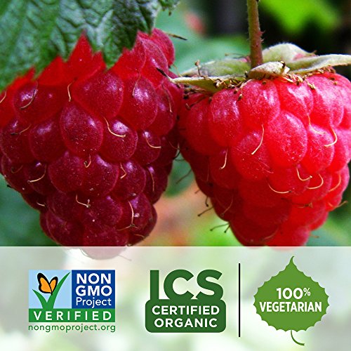 Multivitaminas para mujeres fermentadas con probióticos