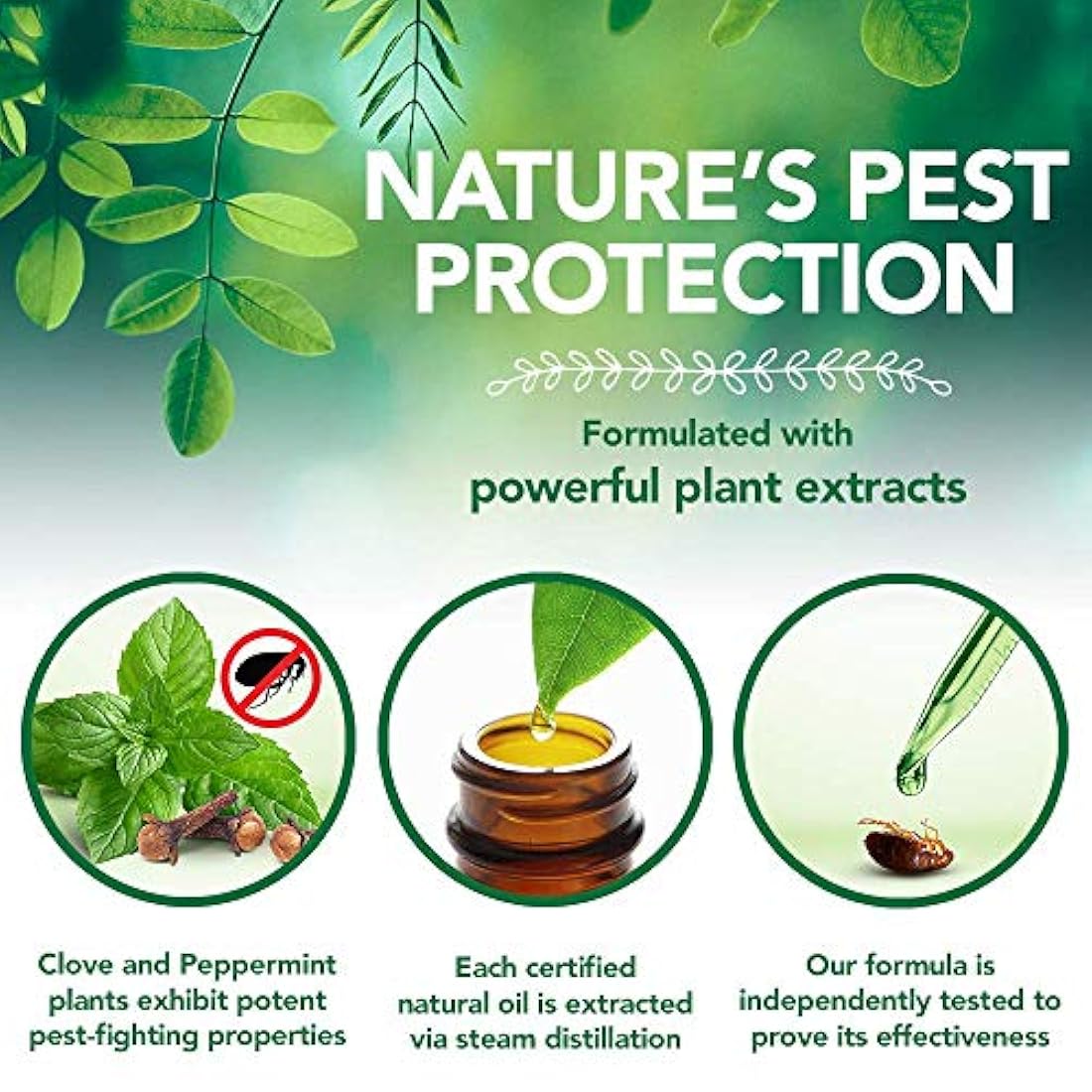 Pulverizador de pulgas y garrapatas para perros