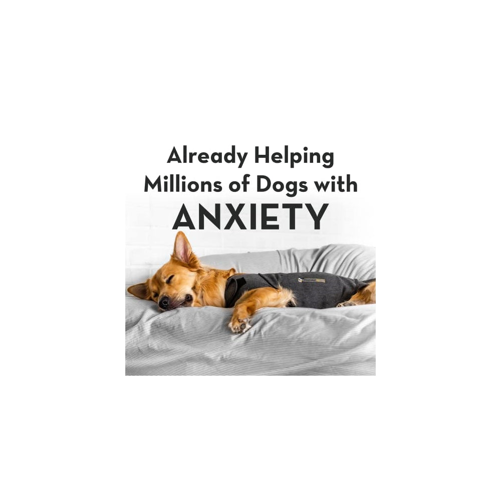 Camisetas anti ansiedad para perros Tamaño: xs Color: Gris
