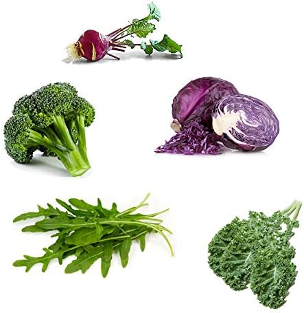 Mezcla de Semillas de Ensalada, Isla's Garden, 500+ Semillas