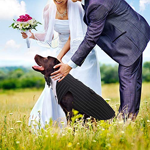 Conjunto de disfraz de esmoquin para perro pequeño