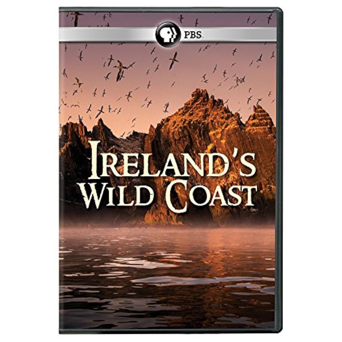 DVD de vida silvestre de las costas de Irlanda