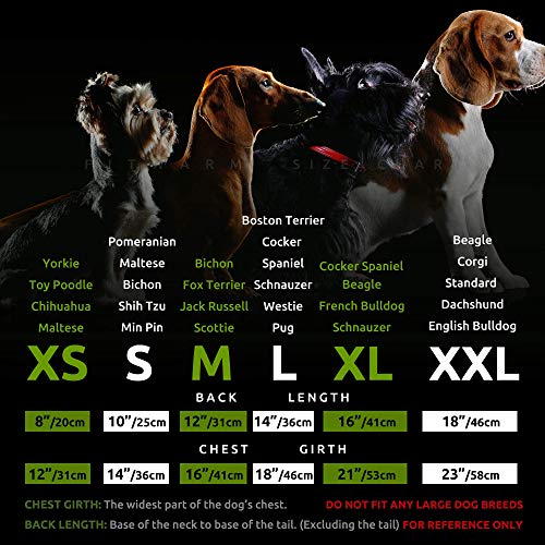 Fitwarm XOXO - Camisa de Pascua 100% algodón para perros, ropa romántica para perritos del 4 de julio, ropa patriótica para perros, camiseta para cachorros, chaleco para mascotas, camiseta sin mangas para gatos