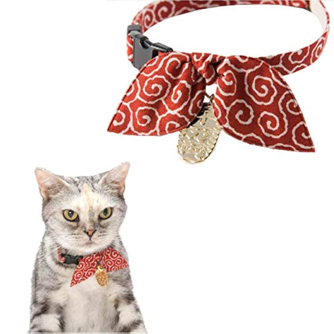 Collar de gato