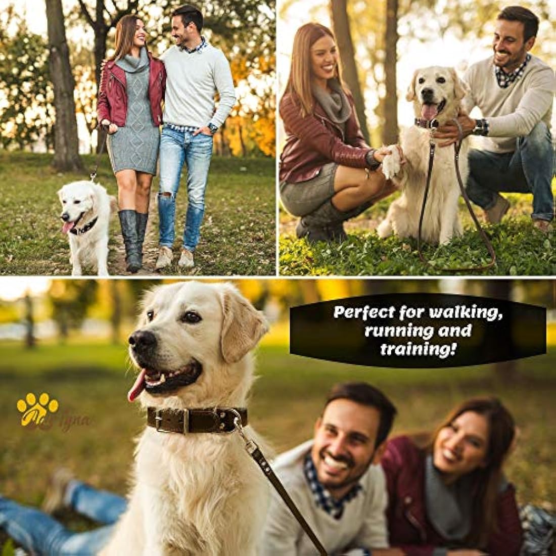 Correa para perro de piel resistente