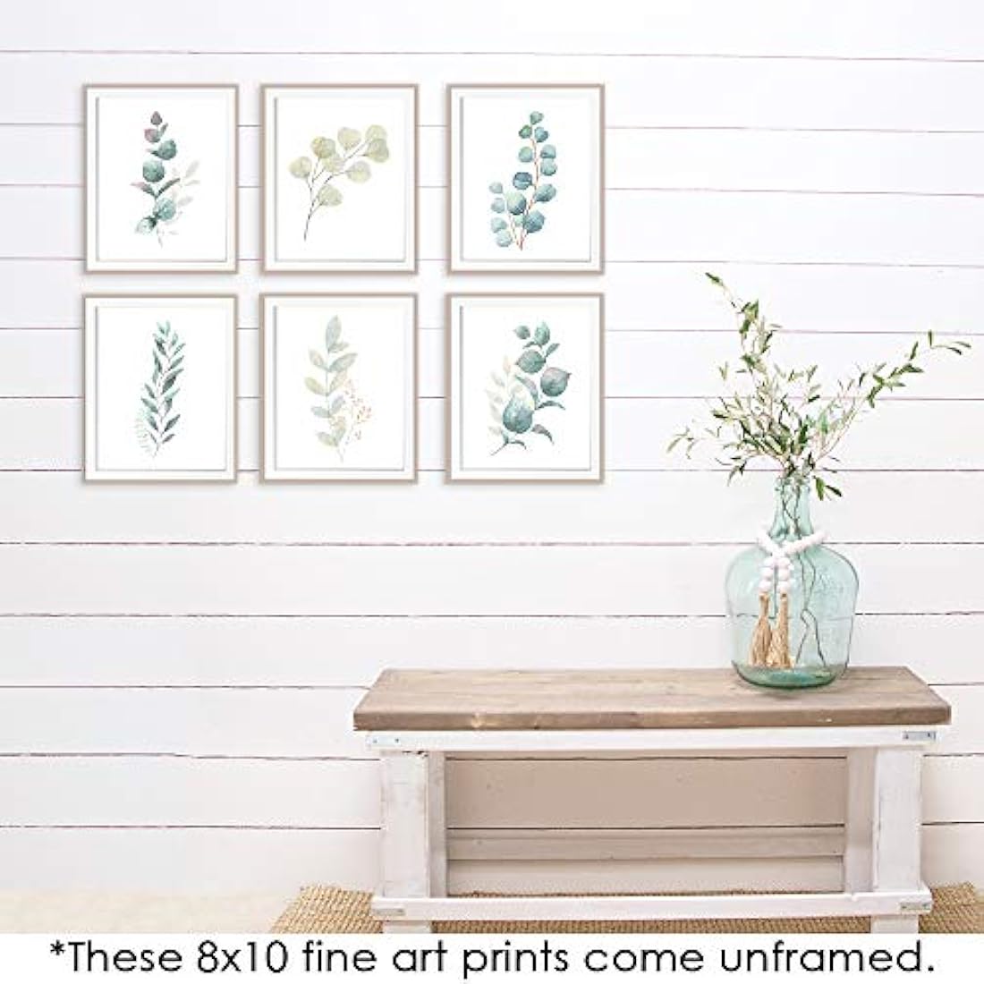 Impresiones botánicas - Hojas de eucalipto - (Juego de 6)