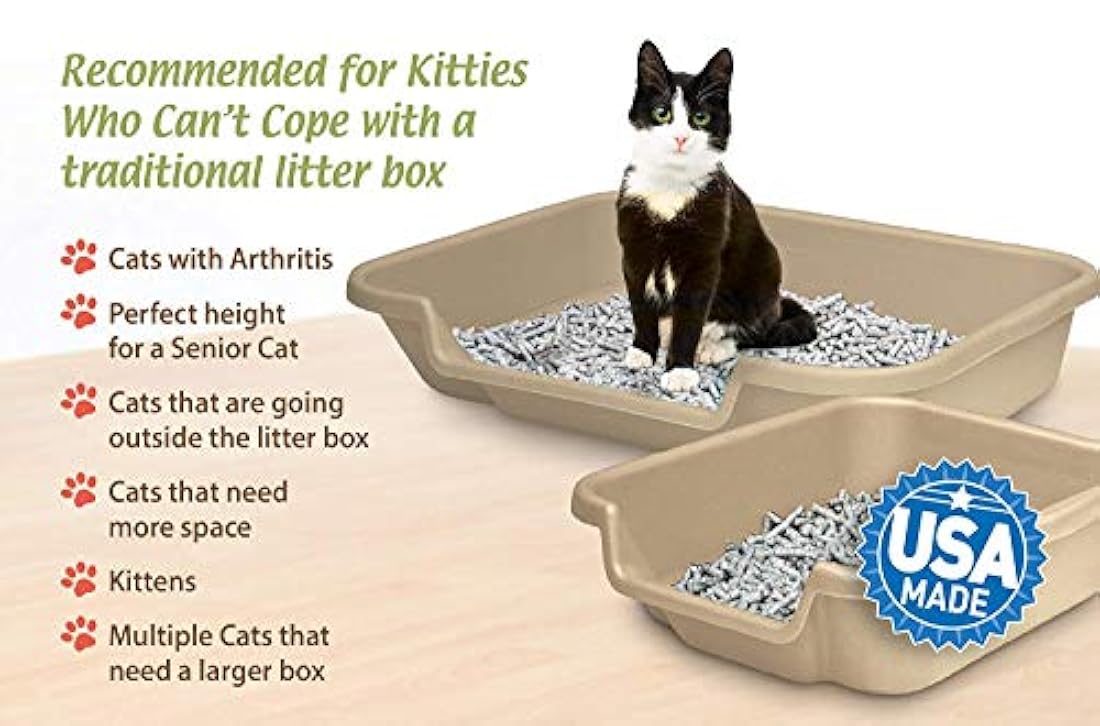 Caja de arena para gatos