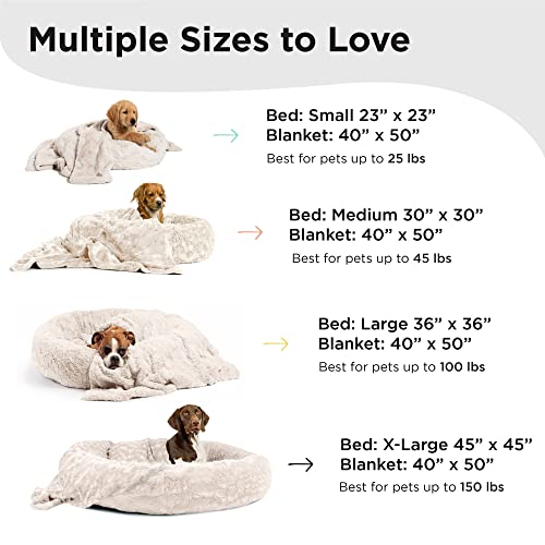 Cama original para perros tamaños XL