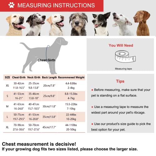 Mklhgty Chaleco salvavidas para perro, reflectante