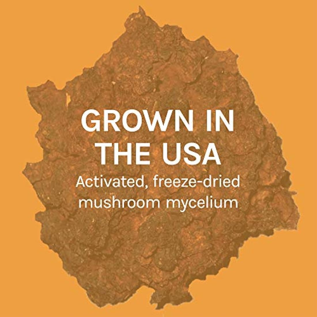 Host Defense - Cápsulas de Chaga, Antioxidante de hongos