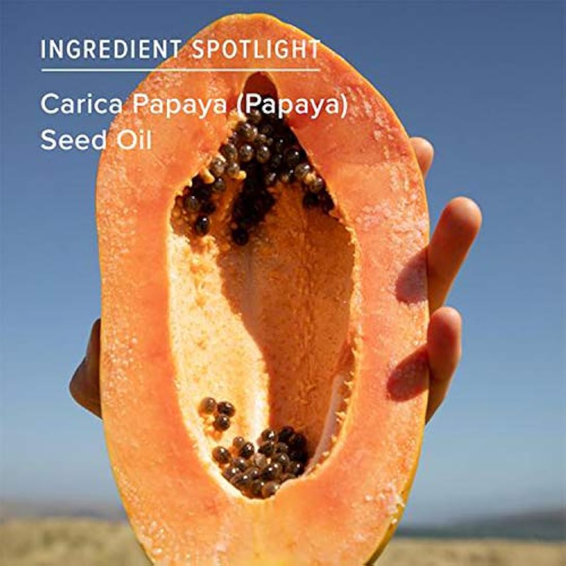 Aceite facial orgánico Renew Pure Radiance