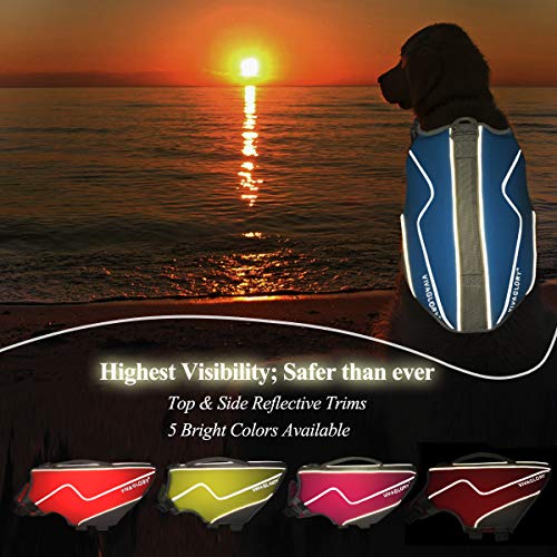 Vivaglory Chalecos salvavidas de neopreno para perro, cómodo y seguro chaleco salvavidas para perros con flotabilidad superior y mango de rescate