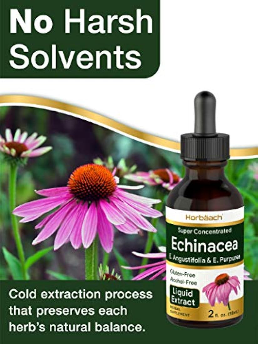 Extracto líquido de equinácea Horbäach