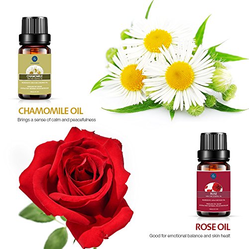 Top 20 Aceites de aromaterapia