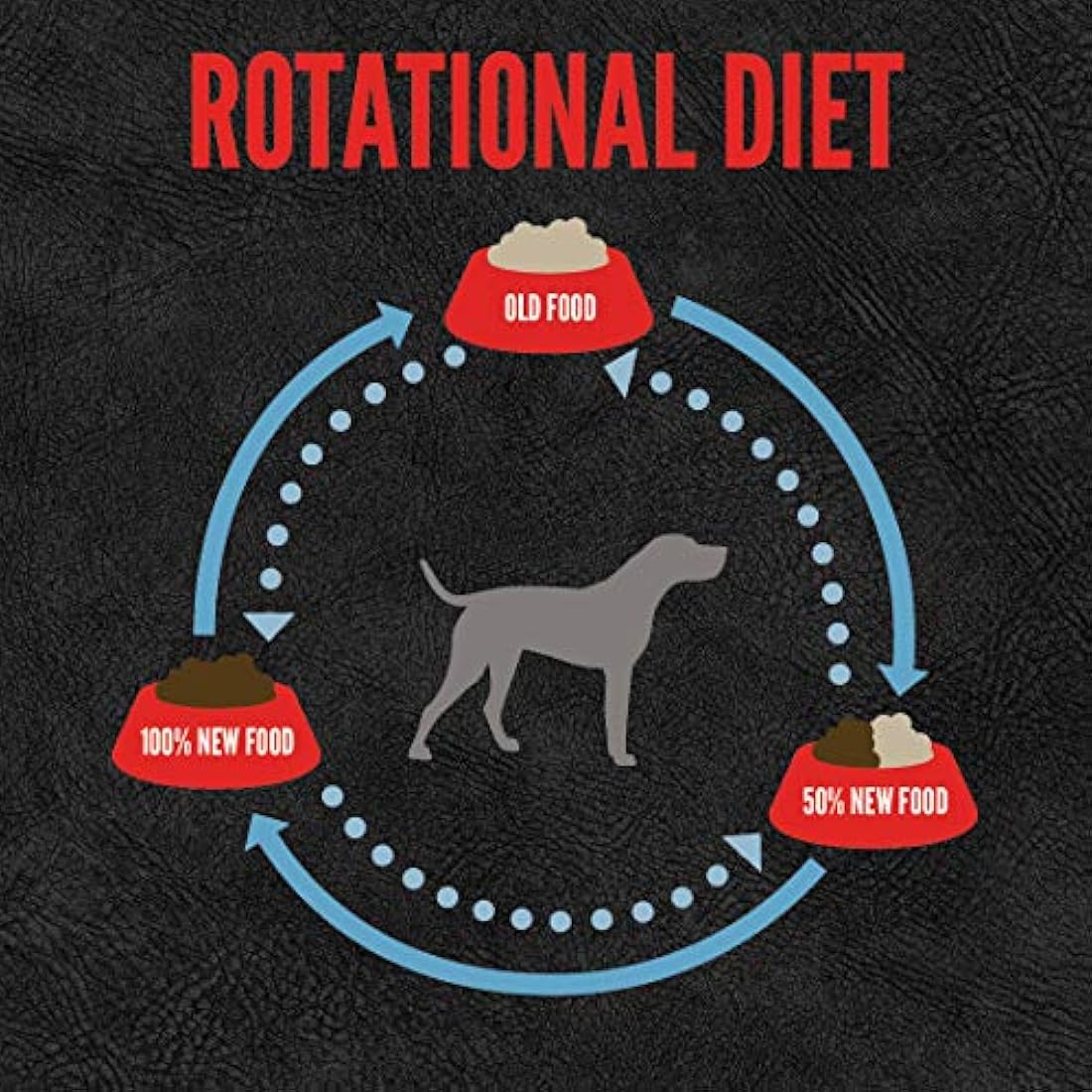 Comida para cachorros Puppy Food