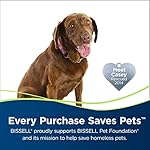 Bissell Crosswave Pet Pro All in One Wet Dry - Alfombra