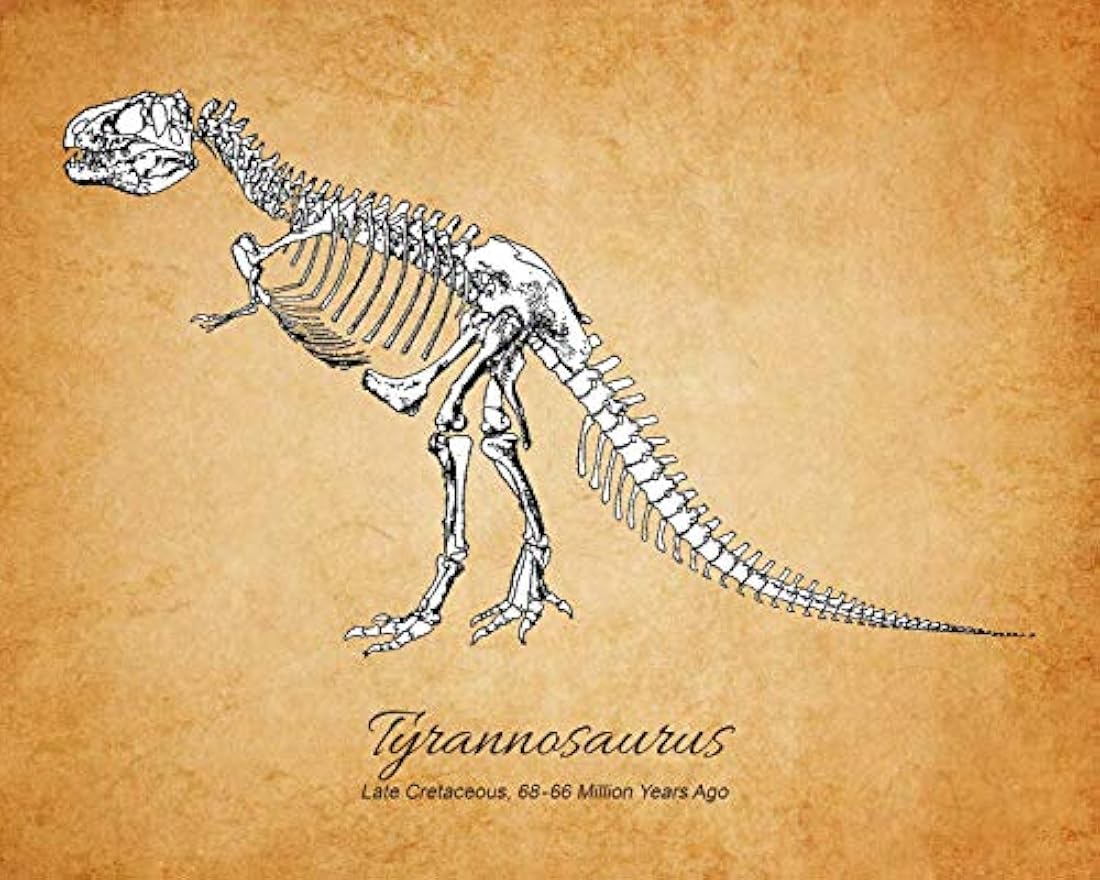Impresiones de arte de pared de fósiles de dinosaurios