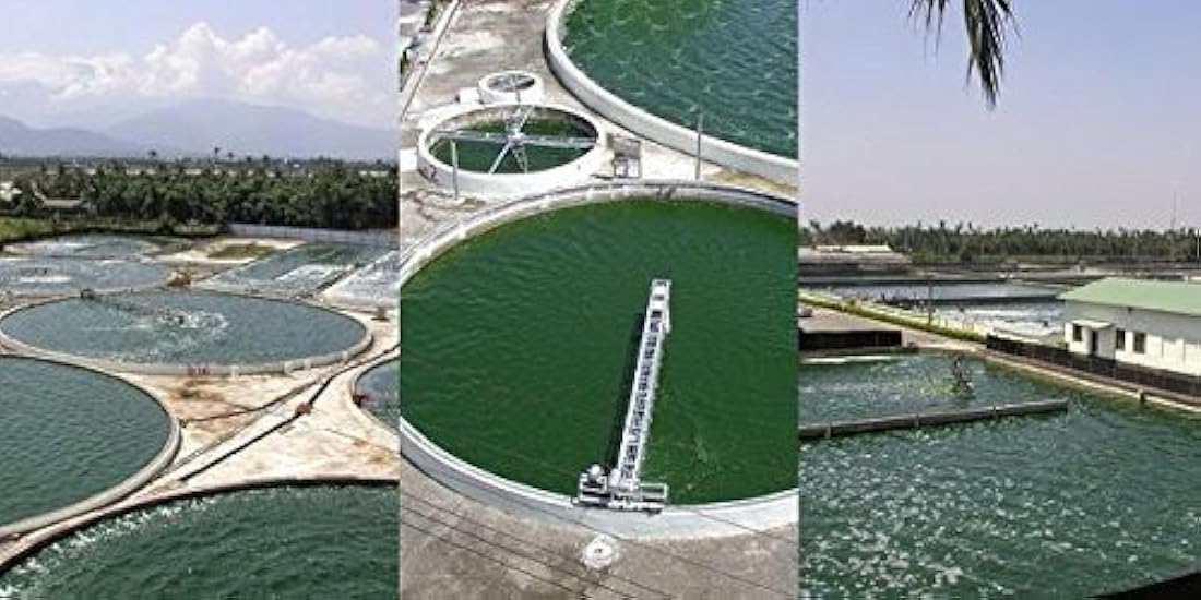 Complemento dietético en tabletas