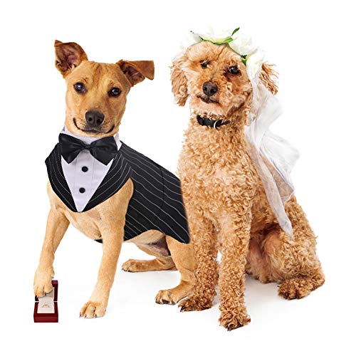 Conjunto de disfraz de esmoquin para perro pequeño