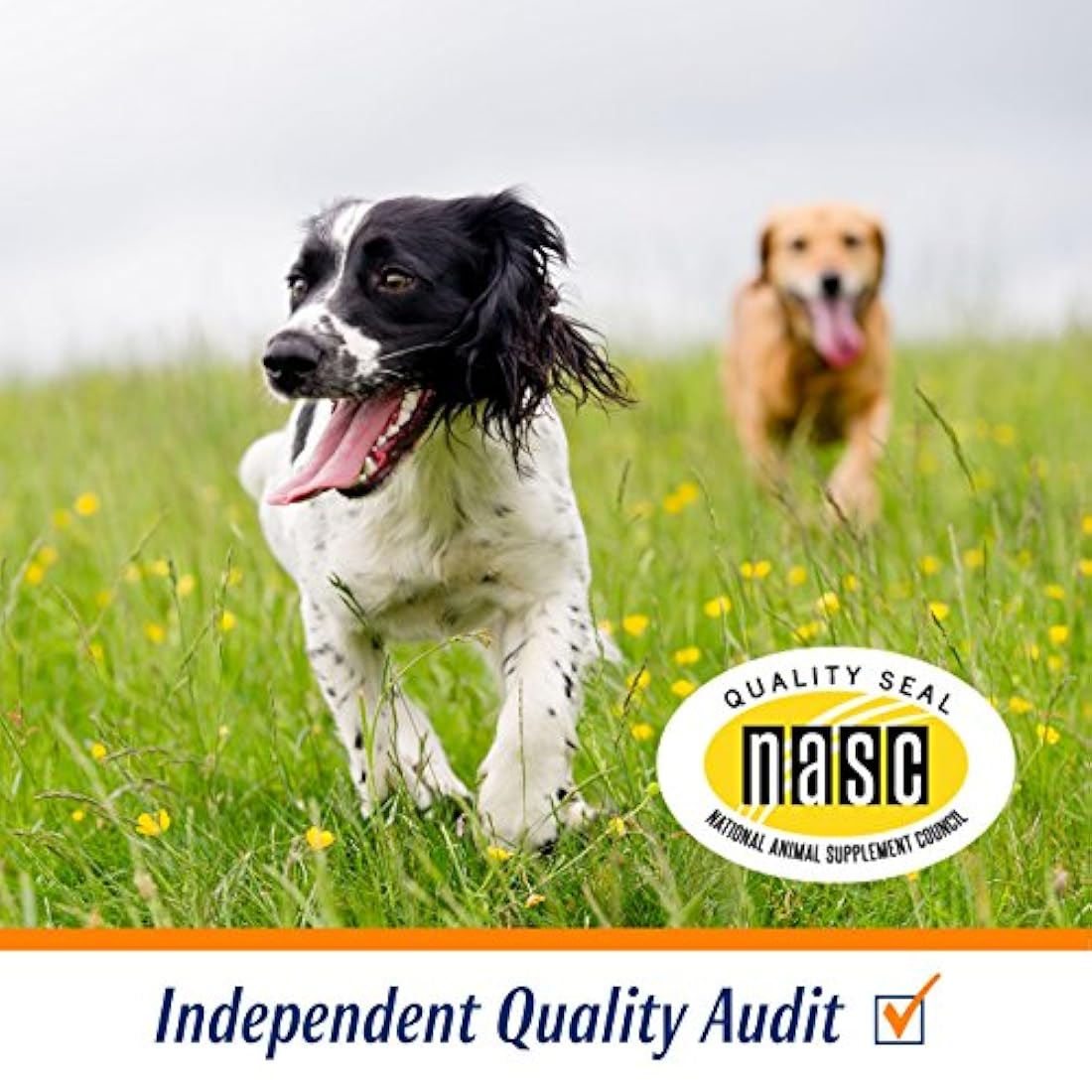 Glucosamina para Perros, Avanzada Cadera y Articula