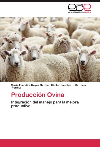 Producción Ovina: Integración del manejo para la mejora p