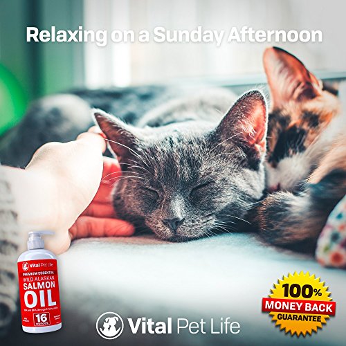 Aceite de salmón para perros gatos y caballos