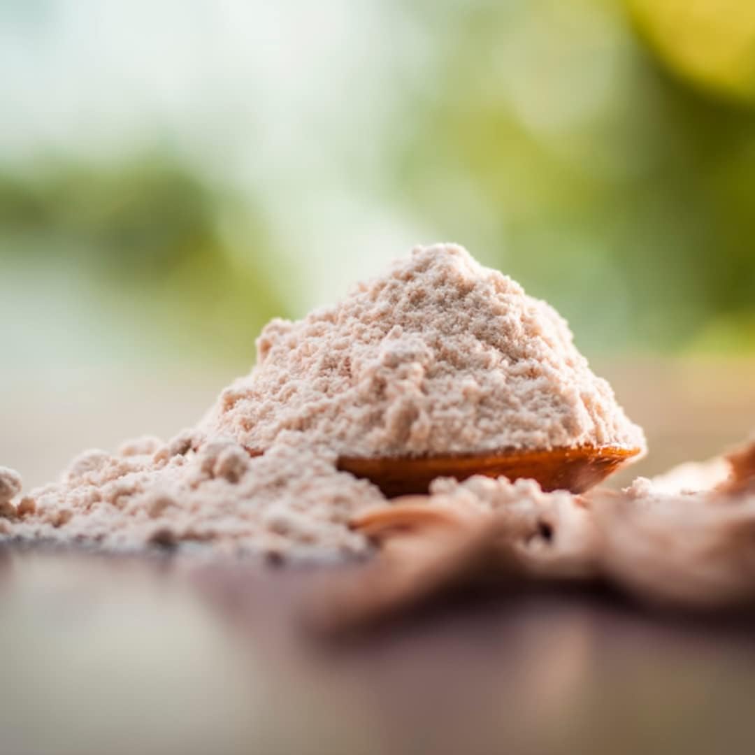 SVATV Shatavari Powder Espárragos racemosos Hierba 8.01 oz