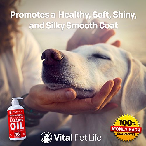 Aceite de salmón para perros gatos y caballos