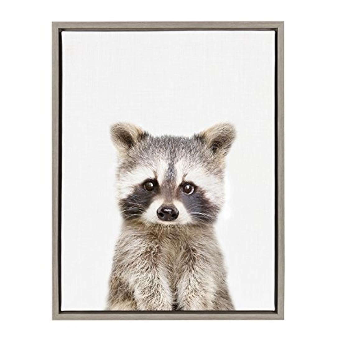 Kate and Laurel Sylvie Raccoon - Lienzo enmarcado para pared