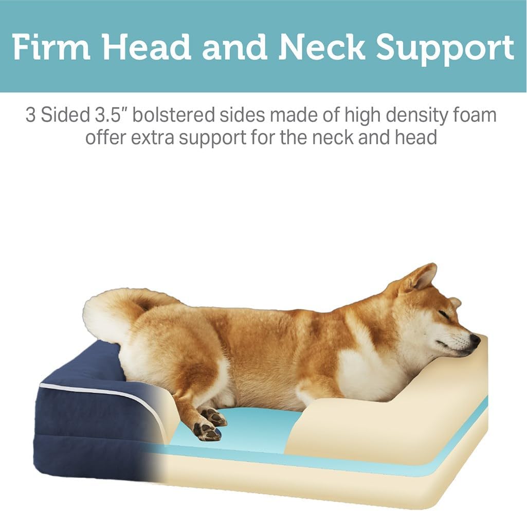 Cama ortopédica para perros Friends Forever, con memoria, 35x25x6.5