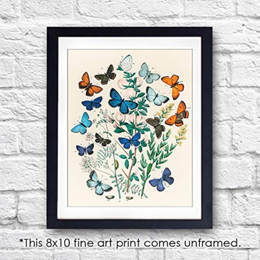 Sin marco - Decoración de pared botánica 8x10