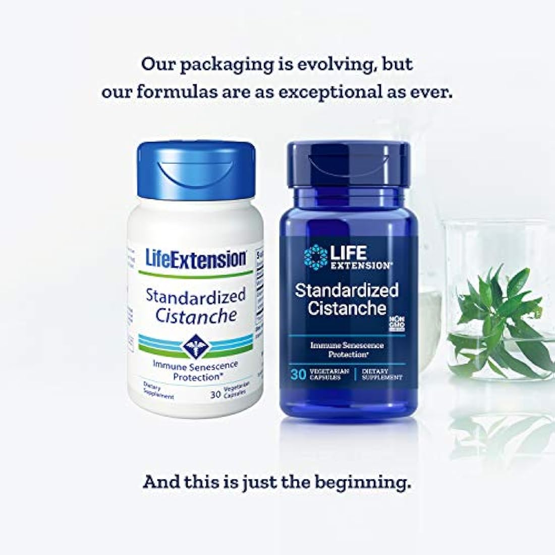 Life Extension Standardized Cistanche 30 Vegetarian Capsules