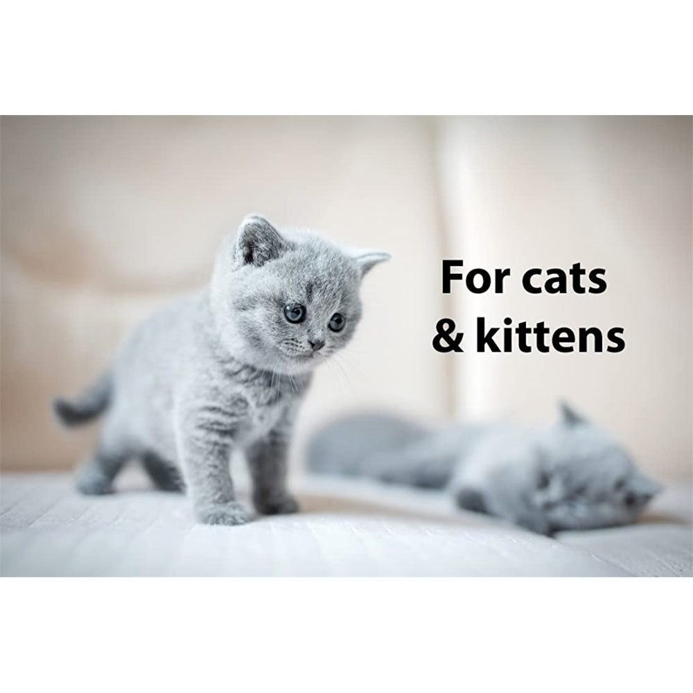 DrFormulas Nexabiotic Probióticos para Gatos en Polvo