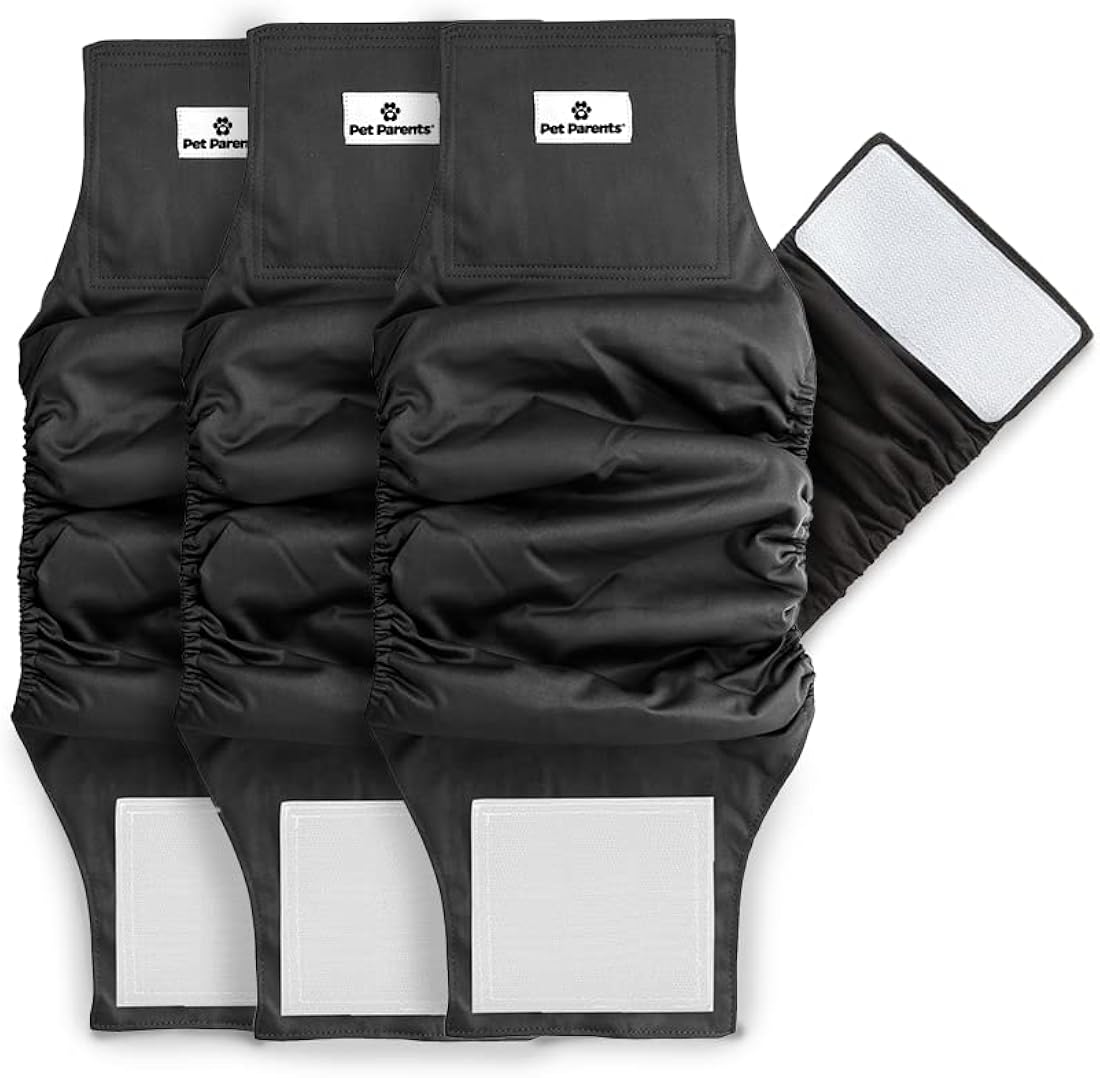 Pet Parents Bandas lavable absorción para perros machos