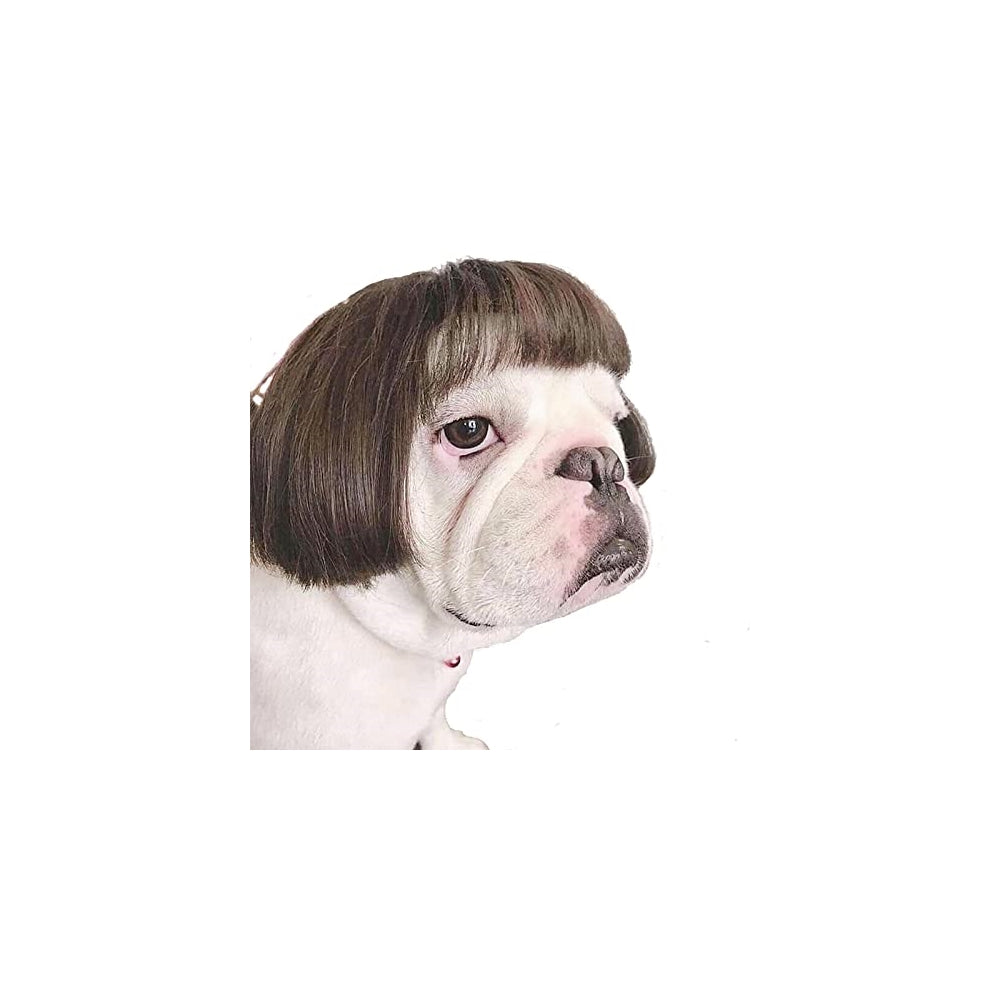 Disfraces de peluca de perro talla L