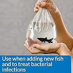 Extracto natural árbol té para curar infecciones bacterianas